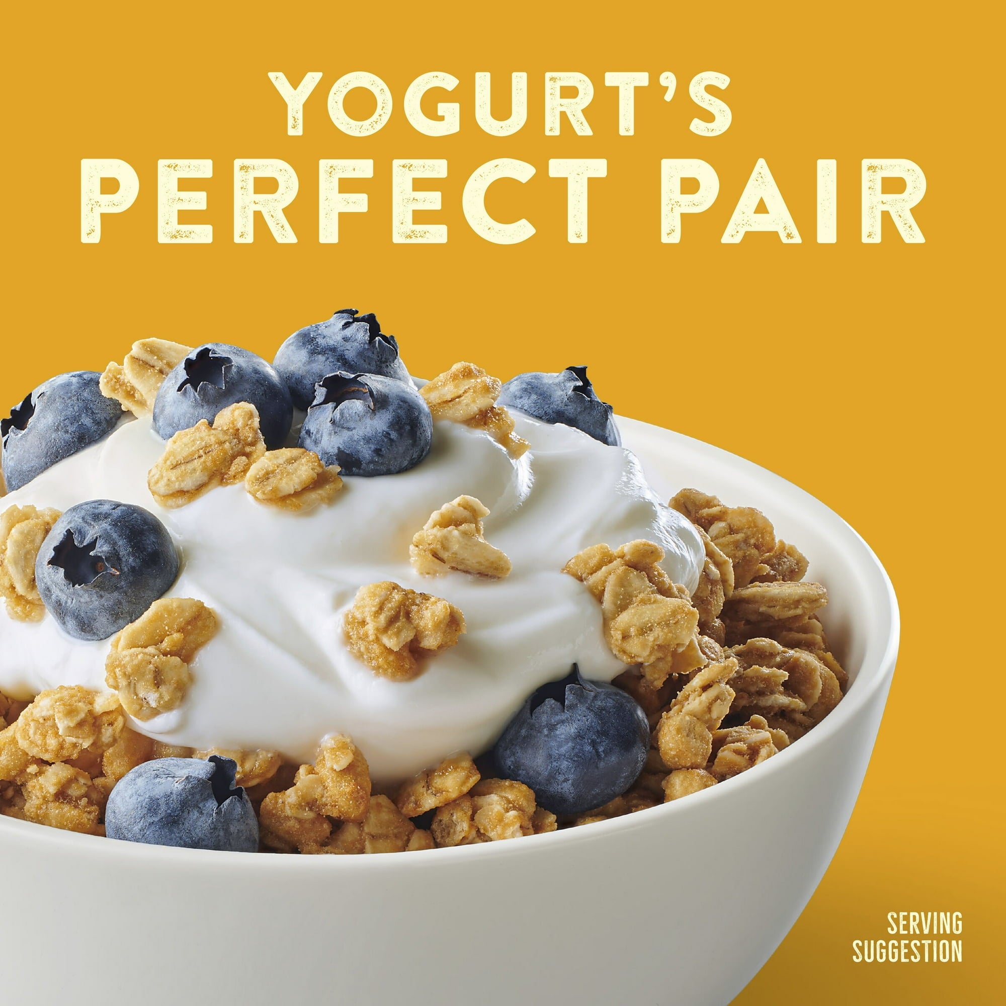 Nature Valley Protein Oats & Honey Granola